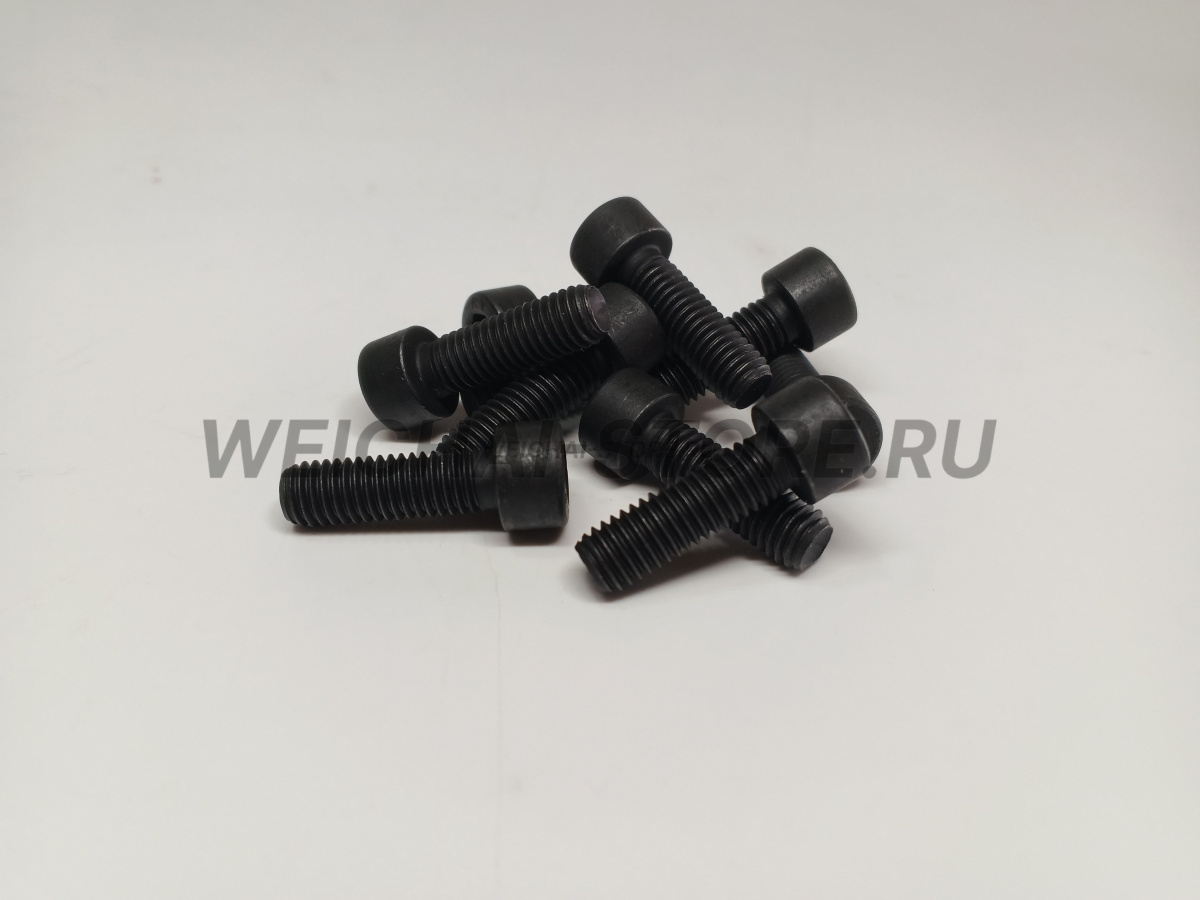 90003862428 Винт с шестигранной головкой