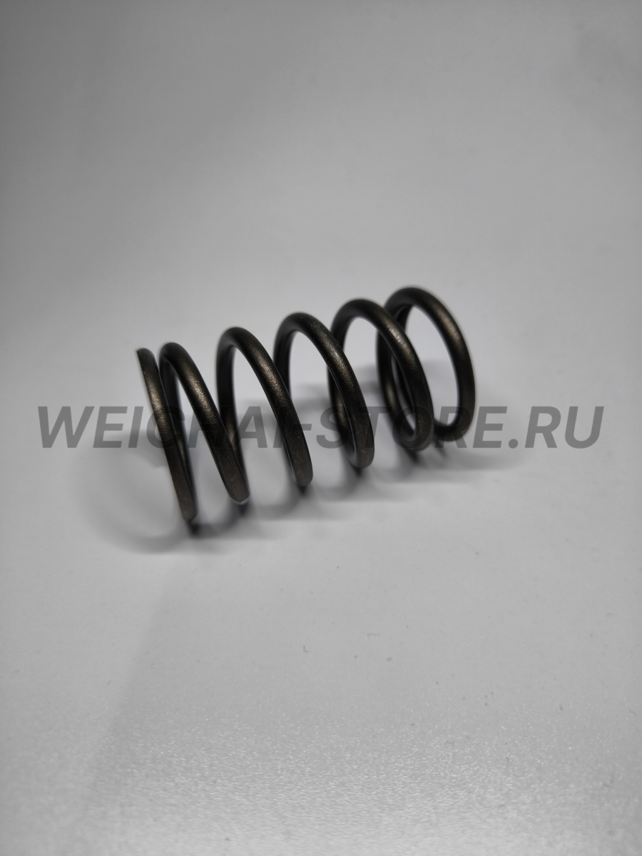 61500050002 пружина клапана большая
