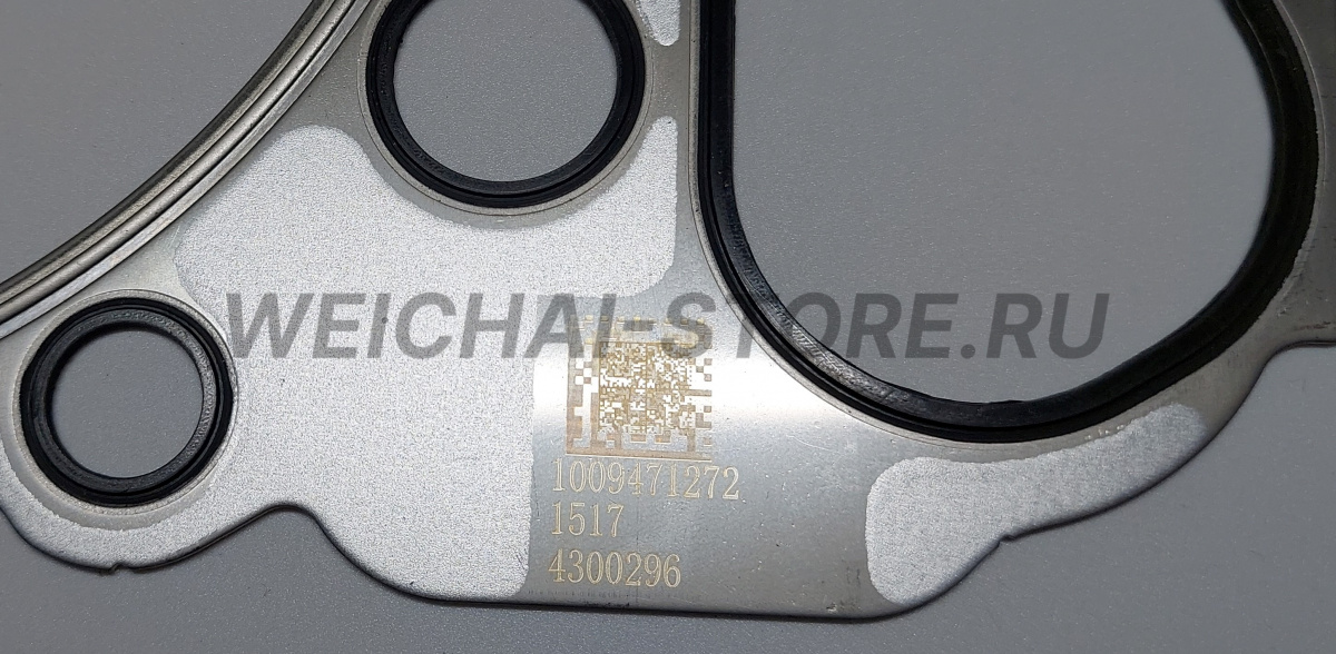 1009471272 Прокладка головки