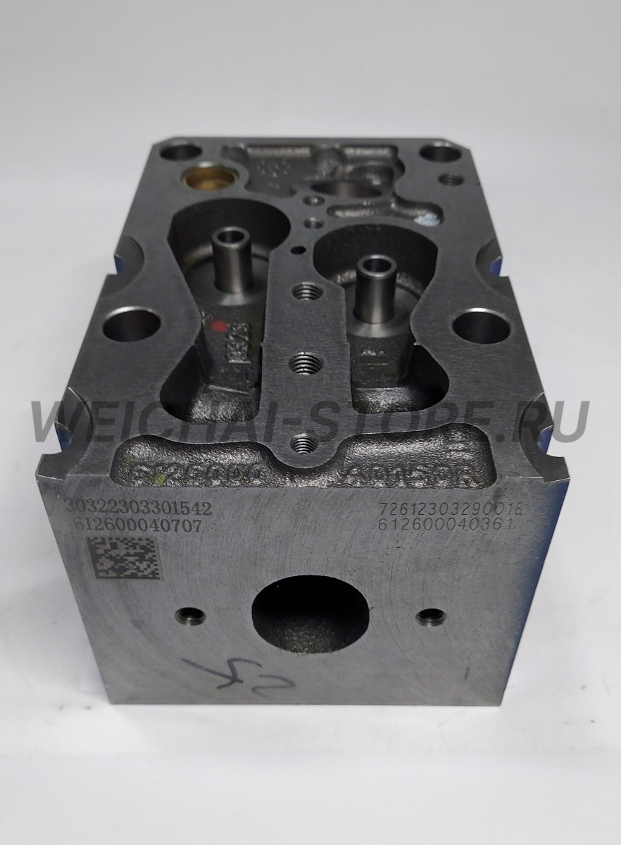 612600040707 Головка блока цилиндров (612600040362)