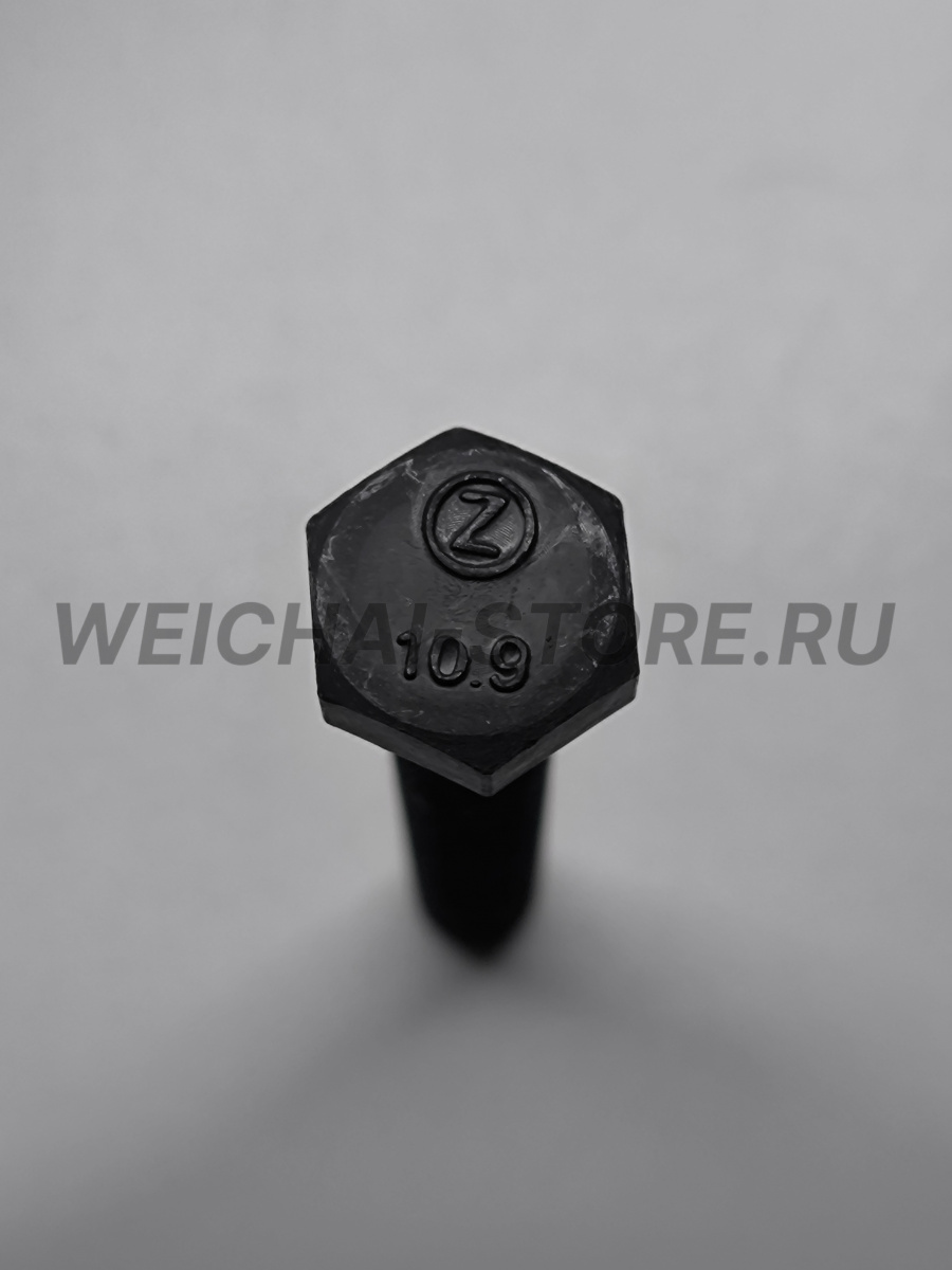 90003802558 болт шкива коленвала