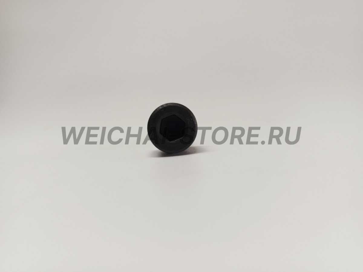 90003862428 Винт с шестигранной головкой
