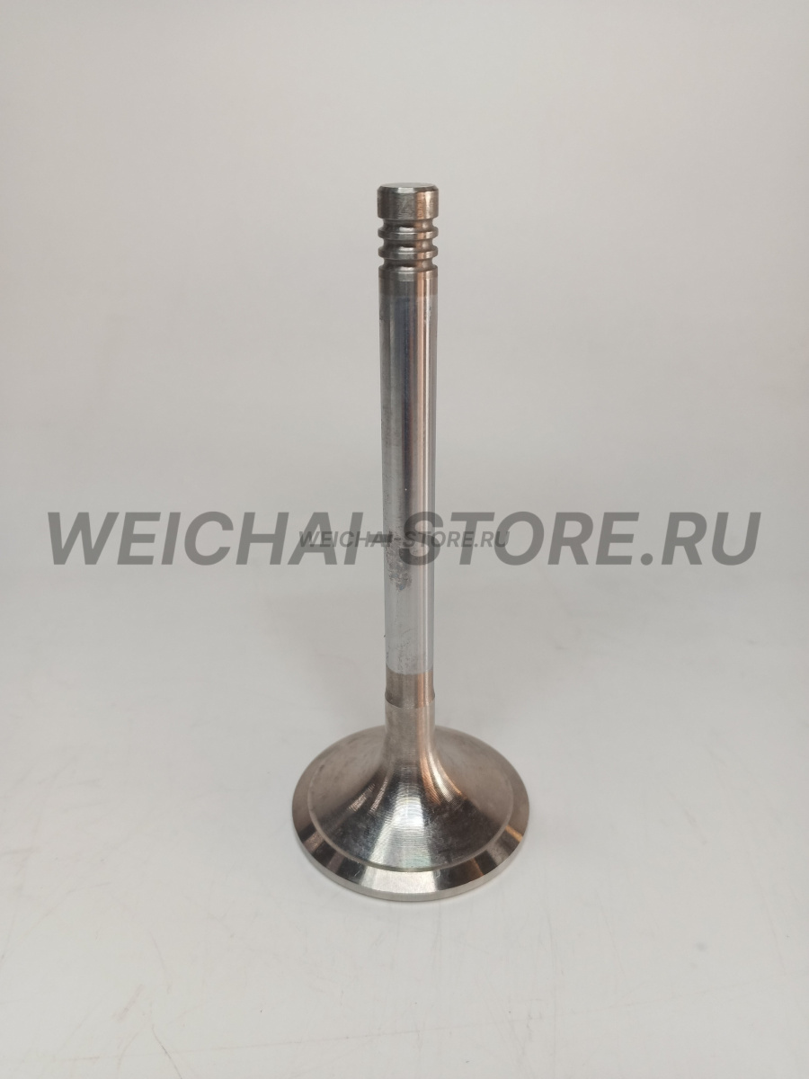 12159606 Клапан впускной