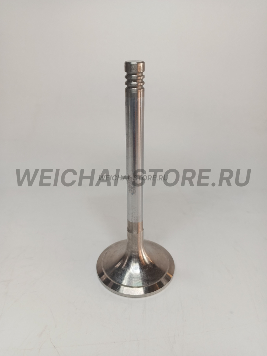 12159606 Клапан впускной